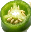 Fresh Jwala Chilli